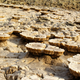 Weird, mushroom like concretions discovered at the Danakil Depression. Image: Felipe Gomez/Europlanet 2020 RI